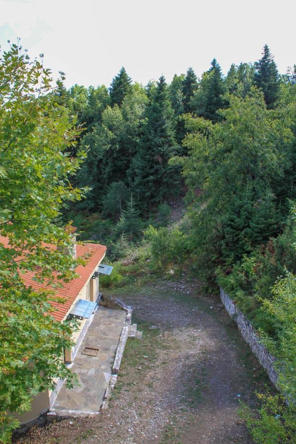 Aparthotel Ktima Alonaki à Plastiras Extérieur photo