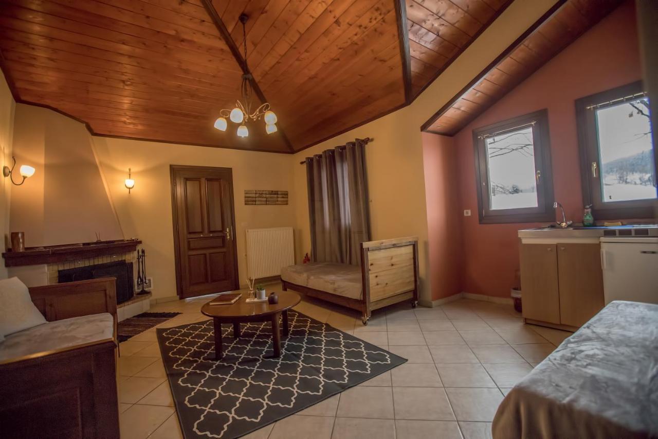 Aparthotel Ktima Alonaki à Plastiras Extérieur photo